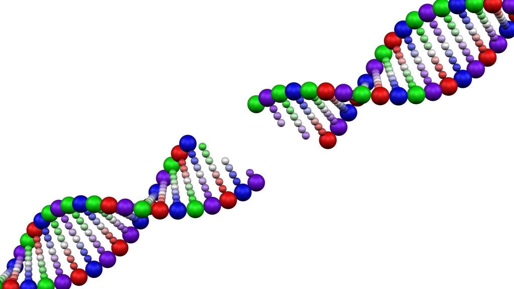 A colorful cartoon of a DNA double helix with a gap through the middle
